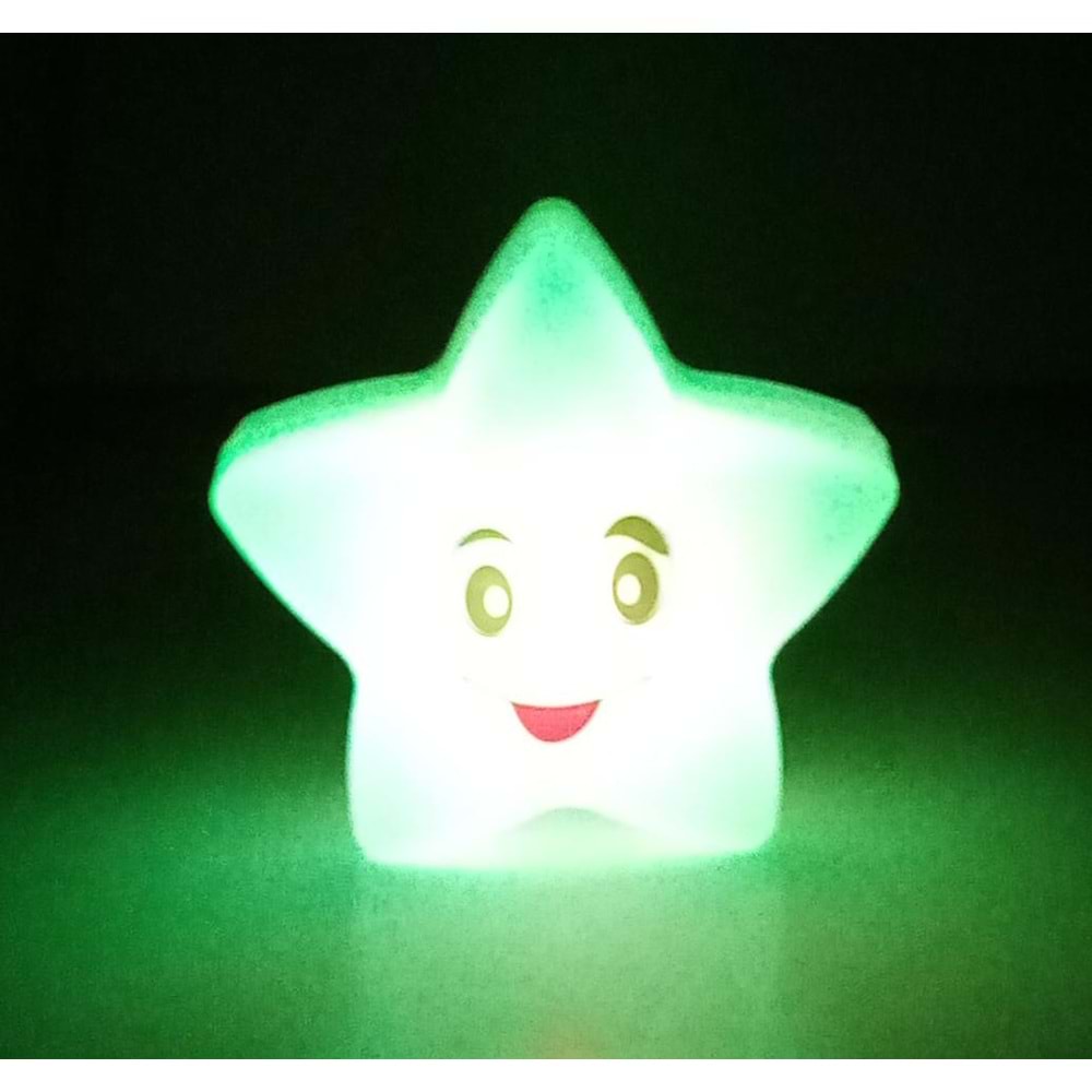 HAPPY STAR IŞIKLI YILDIZ - PİLLİ LED LAMBA
