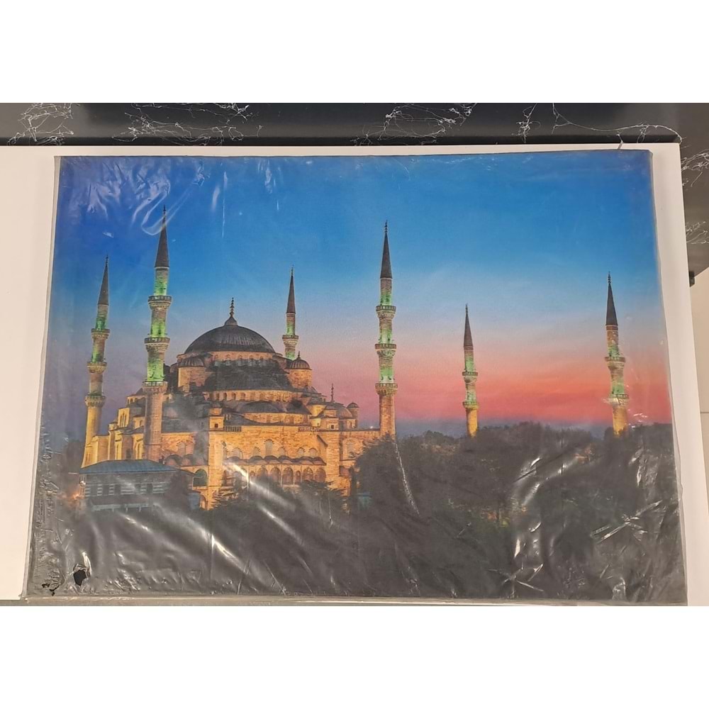 KANVAS TABLO 50x70cm PANO 2