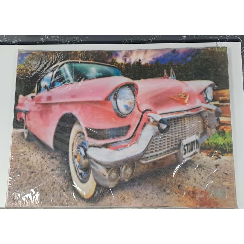 KANVAS TABLO 50x70cm PANO 3