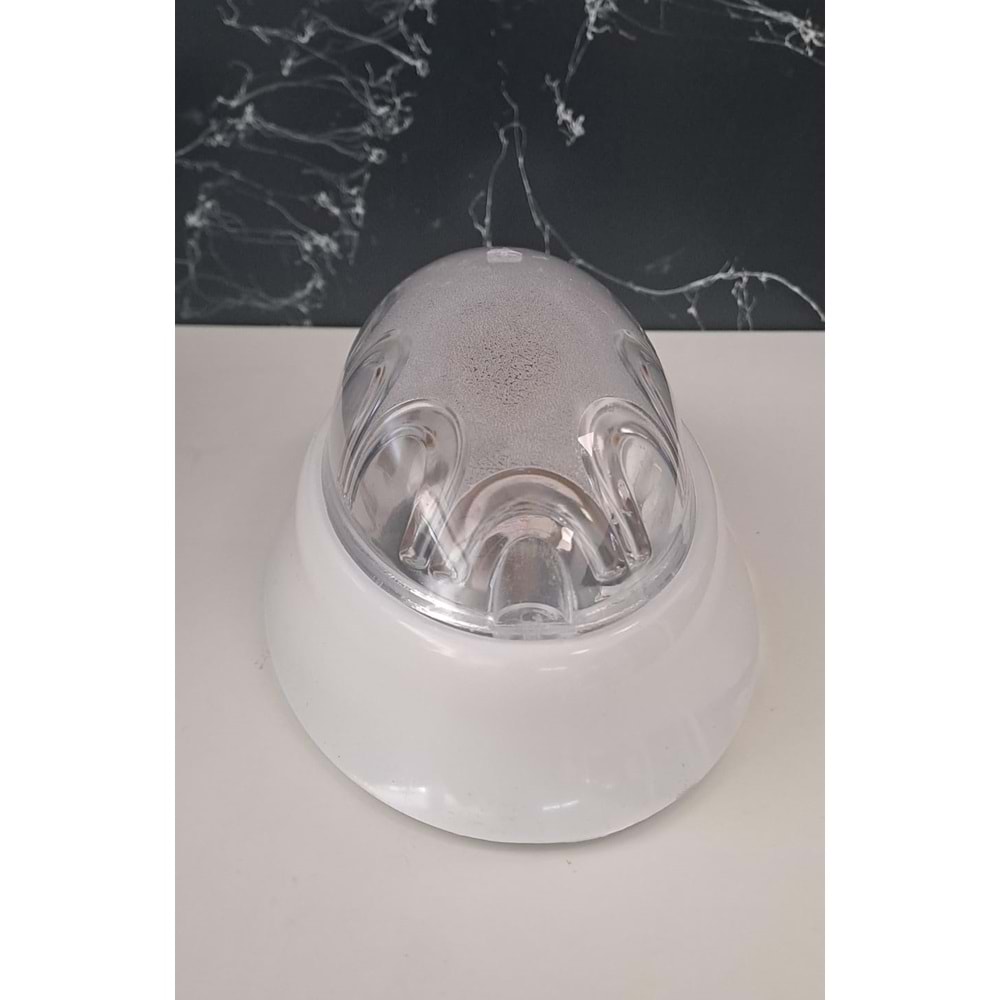 BALIKSIRTI DUVAR APLİK (TUNA APLİK)