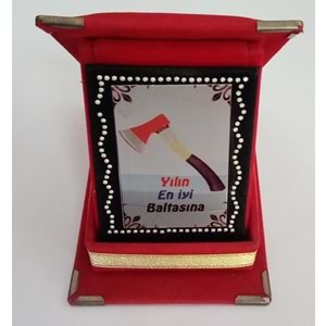 MİNİ PLAKET ( 8 cm x 11,5 cm ) - YILIN EN İYİ BALTASINA