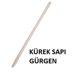 KÜREK SAPI GÜRGEN