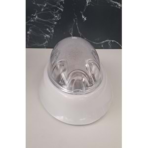 BALIKSIRTI DUVAR APLİK (TUNA APLİK)