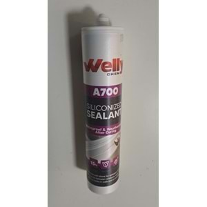 WELLY CHEM SILICONIZED SEALANT A700 ( SİLİKONİZE MASTİK ) BEYAZ 450 Gr