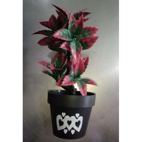 SAKSILI YAPAY ÇİÇEK - ŞEFLERA