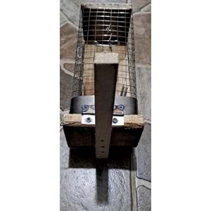 FARE KAPANI AĞAÇ ( 25 x 10 x 10 cm )