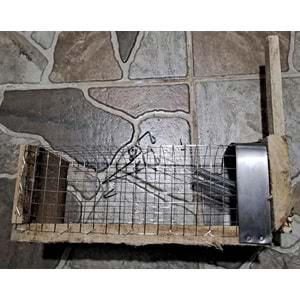 FARE KAPANI AĞAÇ ( 25 x 10 x 10 cm )